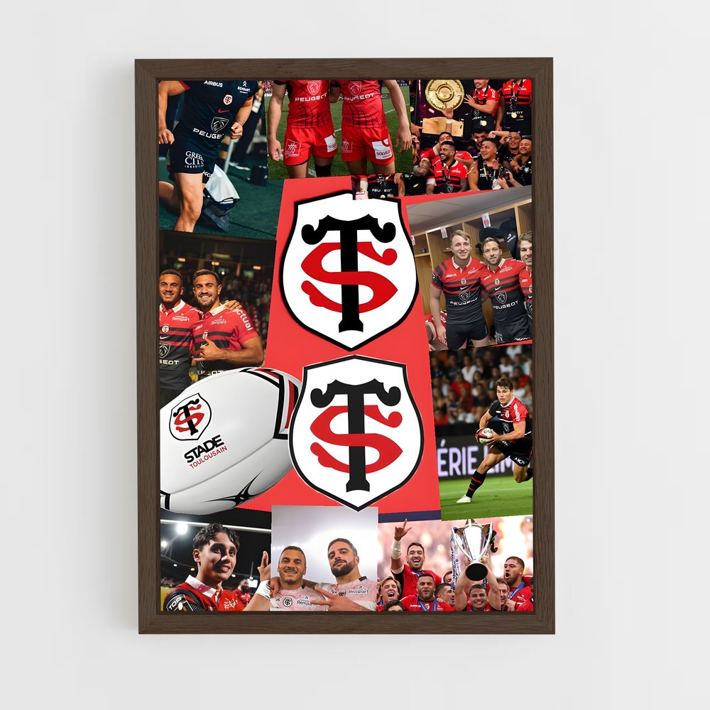 ap-stade toulousain-2 cadre Bois foncé