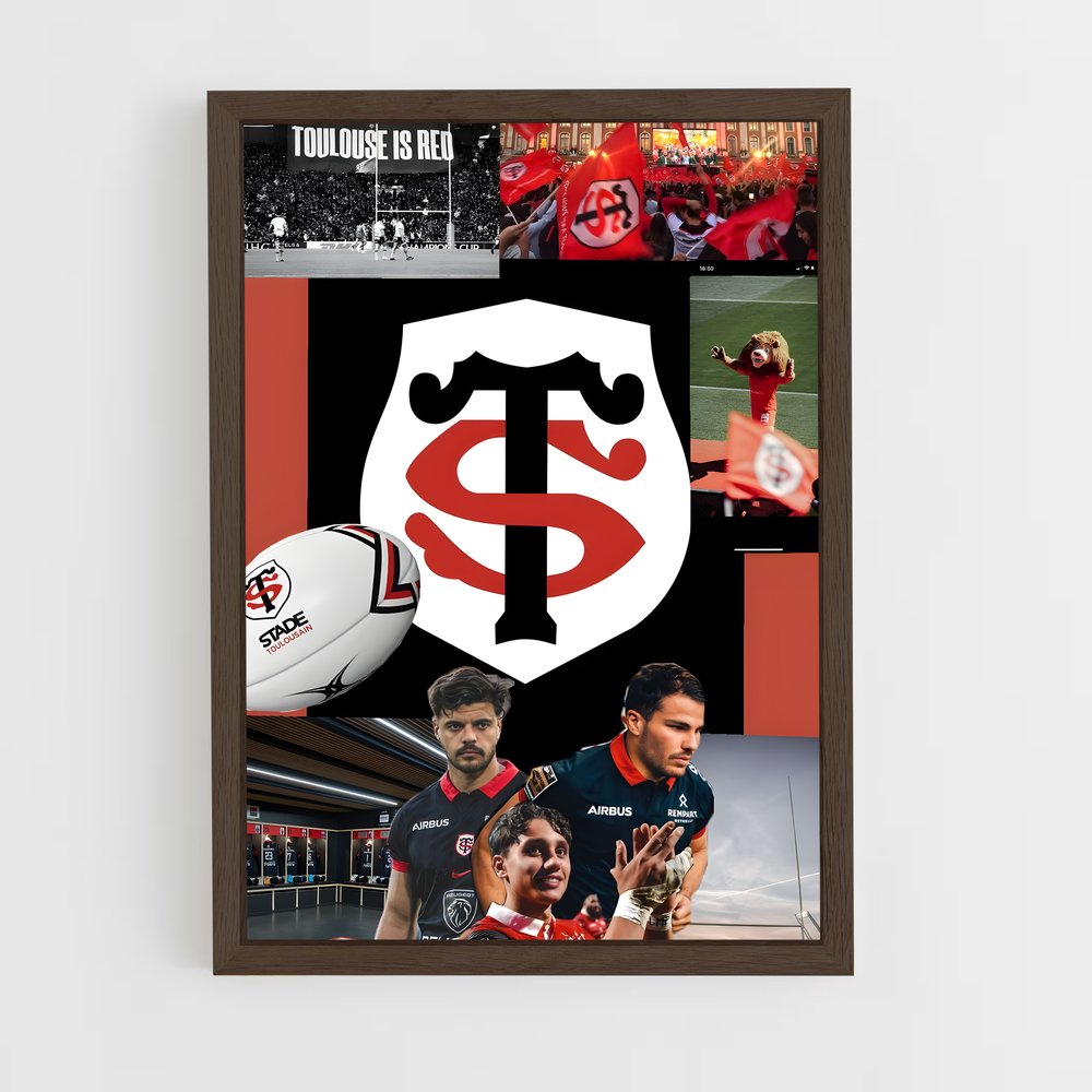 ap-stade toulousain-4 cadre Bois foncé