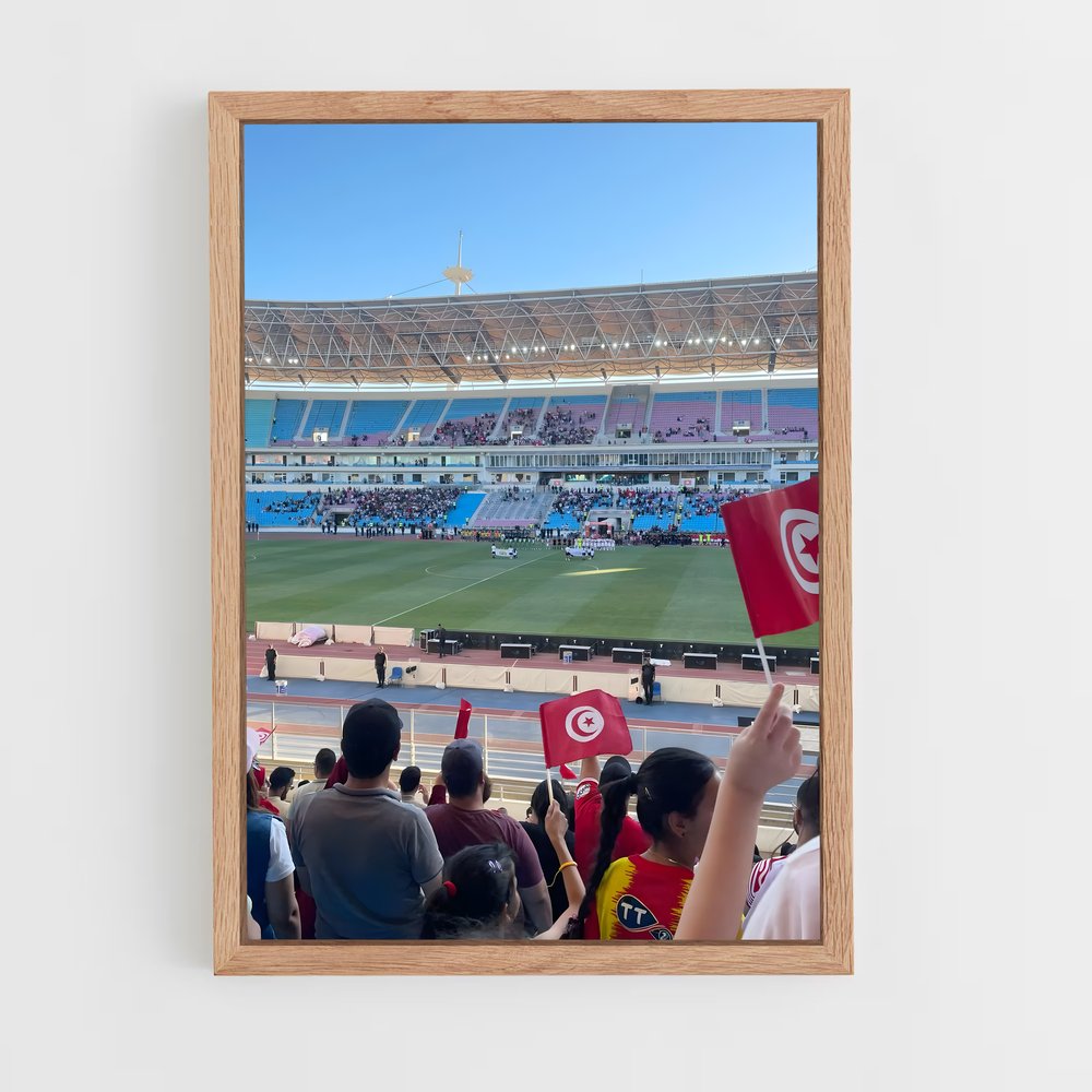 ap-stade tunisien-1 cadre Bois clair
