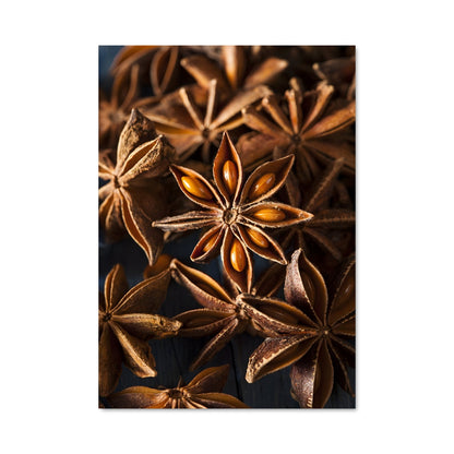 Poster Star anise 24646