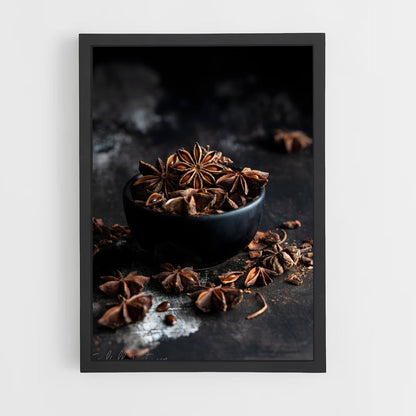 ap-star anise-3 cadre Noir