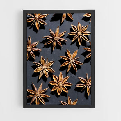 ap-star anise-4 cadre Noir