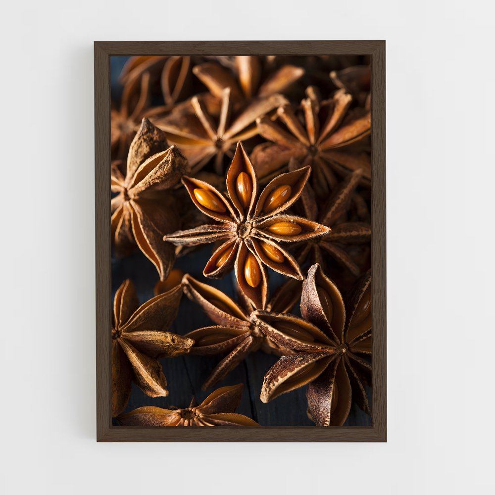 ap-star anise-6 cadre Bois foncé