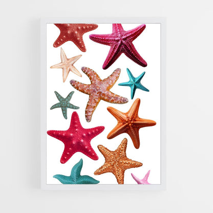 ap-starfish-1 cadre Blanc