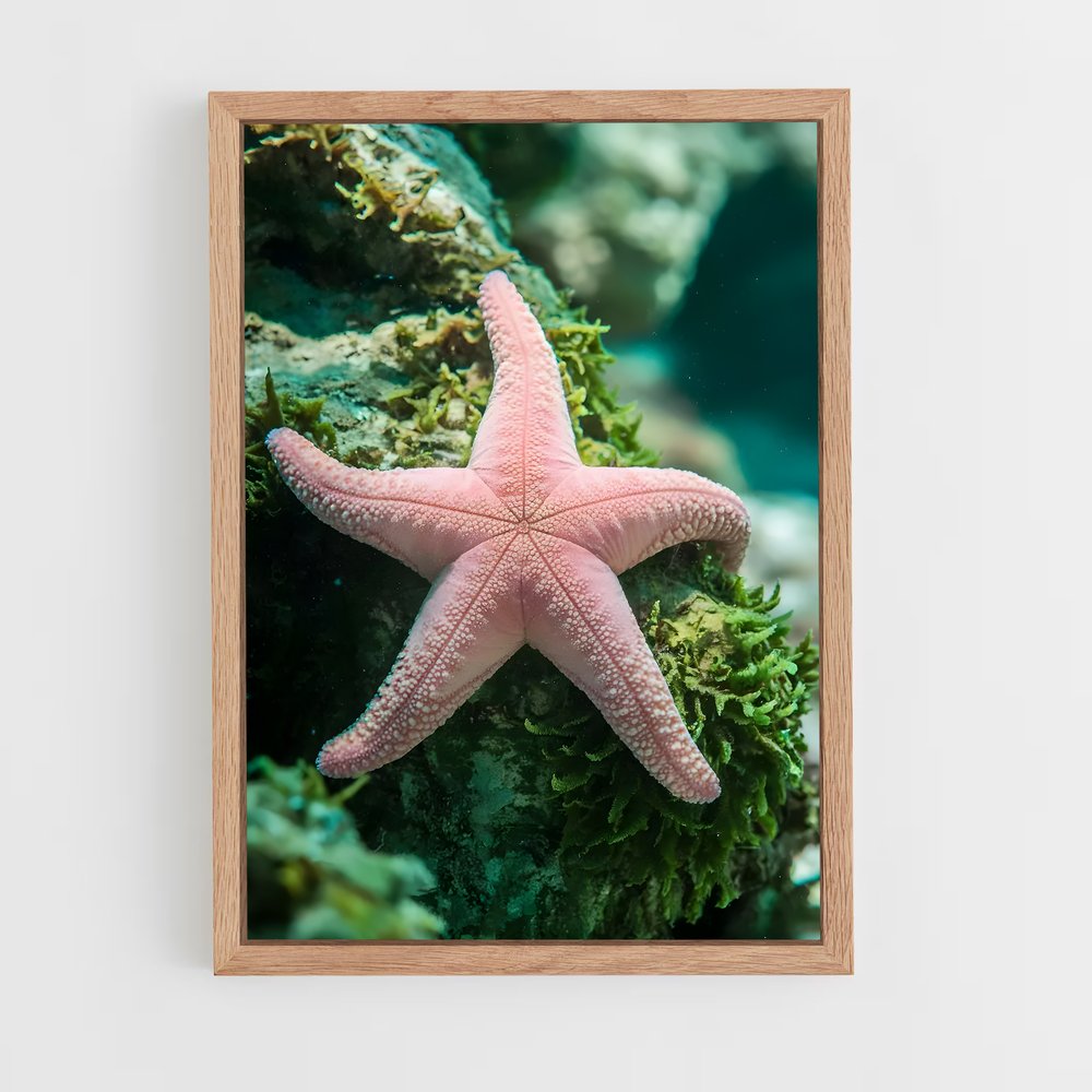 ap-starfish-2 cadre Bois clair
