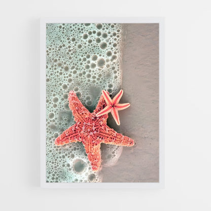 ap-starfish-3 cadre Blanc