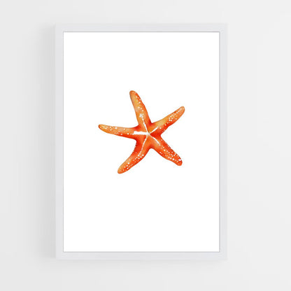 ap-starfish-4 cadre Blanc