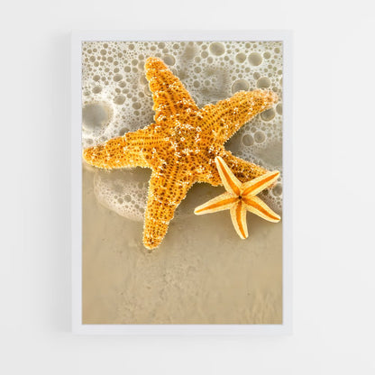 ap-starfish-5 cadre Blanc