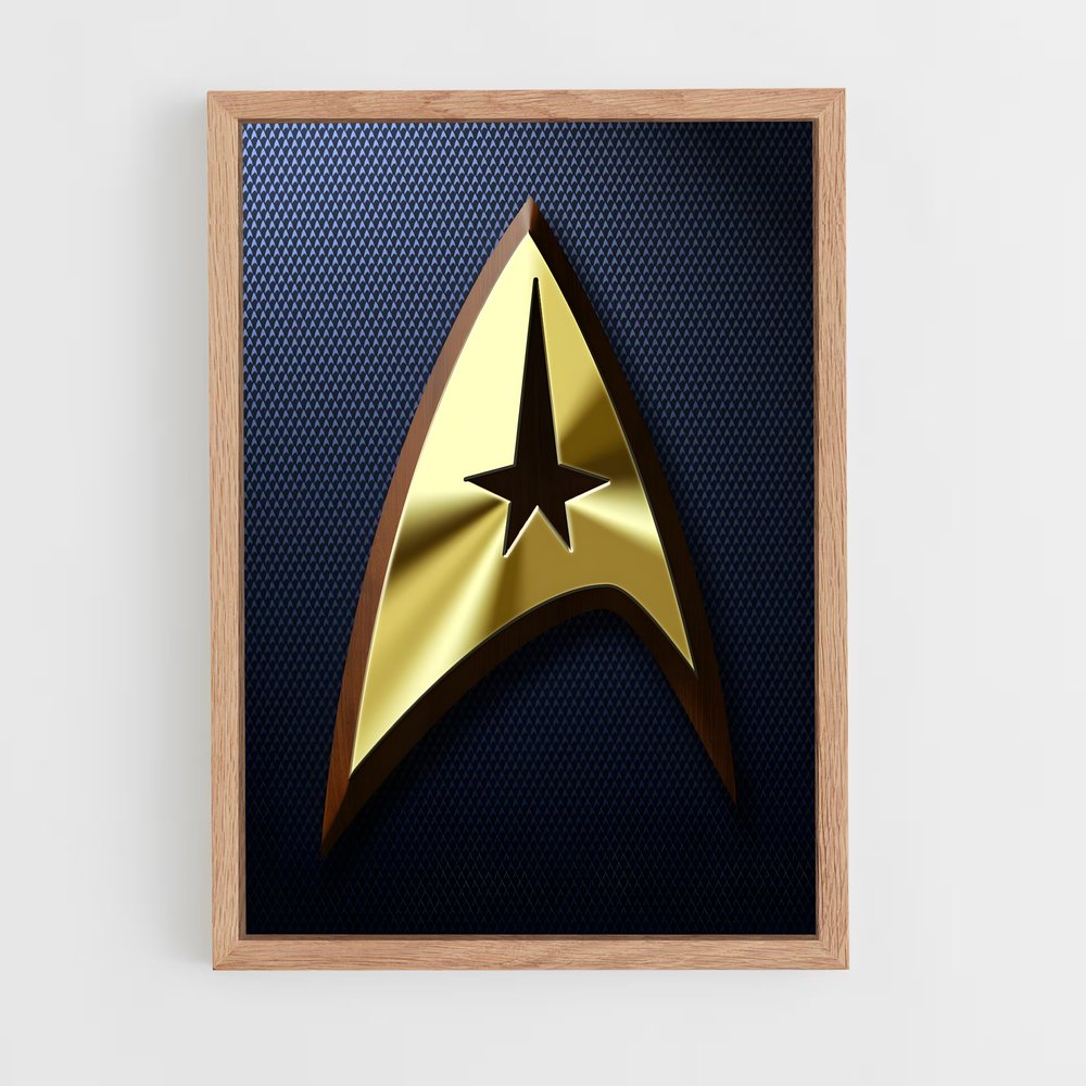 ap-starfleet logo-1 cadre Bois clair