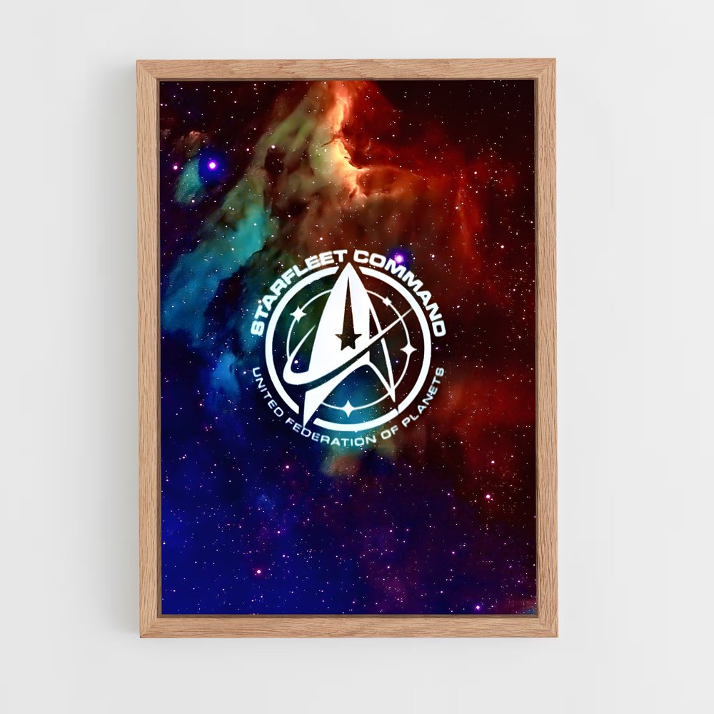 ap-starfleet logo-3 cadre Bois clair