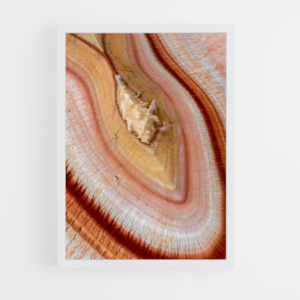 ap-steppe-2 cadre Blanc