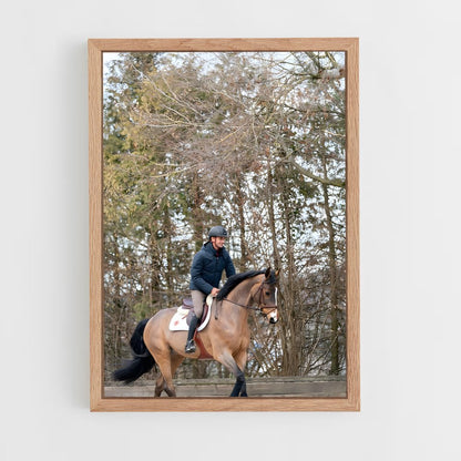 ap-steve guerdat-2 cadre Bois clair