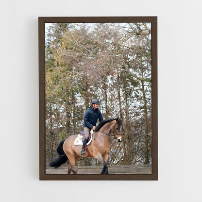 ap-steve guerdat-2 cadre Bois foncé