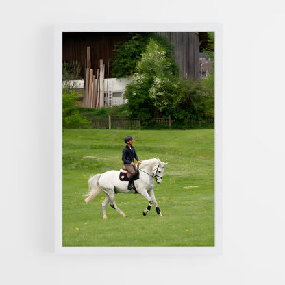ap-steve guerdat-4 cadre Blanc