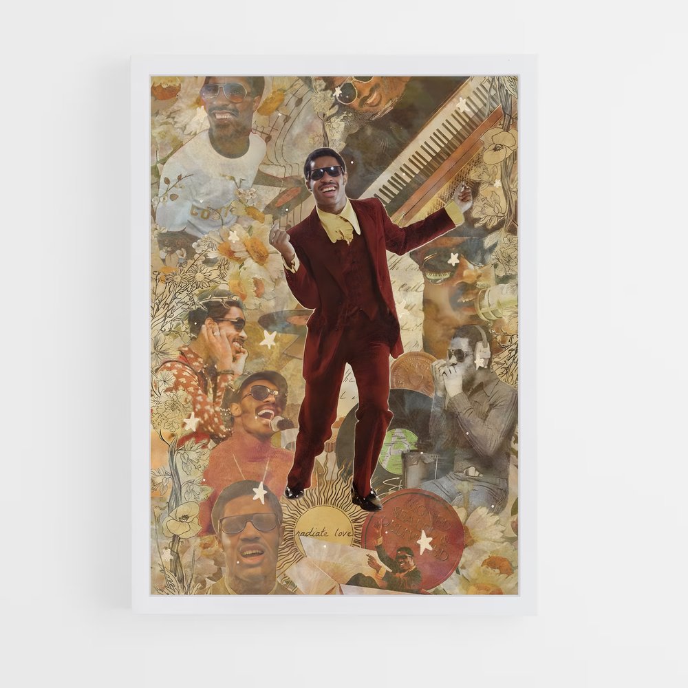ap-stevie wonder-2 cadre Blanc
