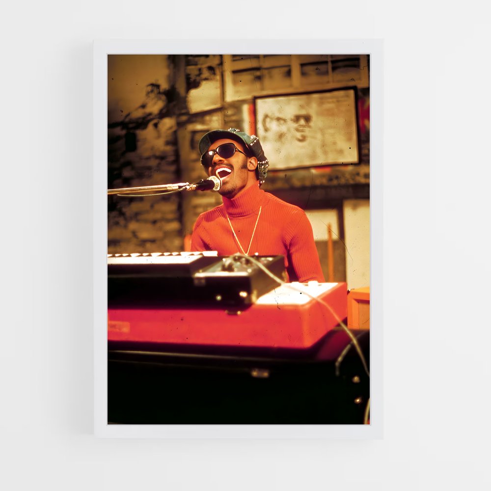 ap-stevie wonder-3 cadre Blanc