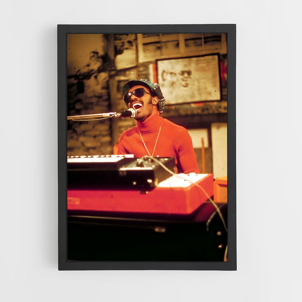 ap-stevie wonder-3 cadre Noir