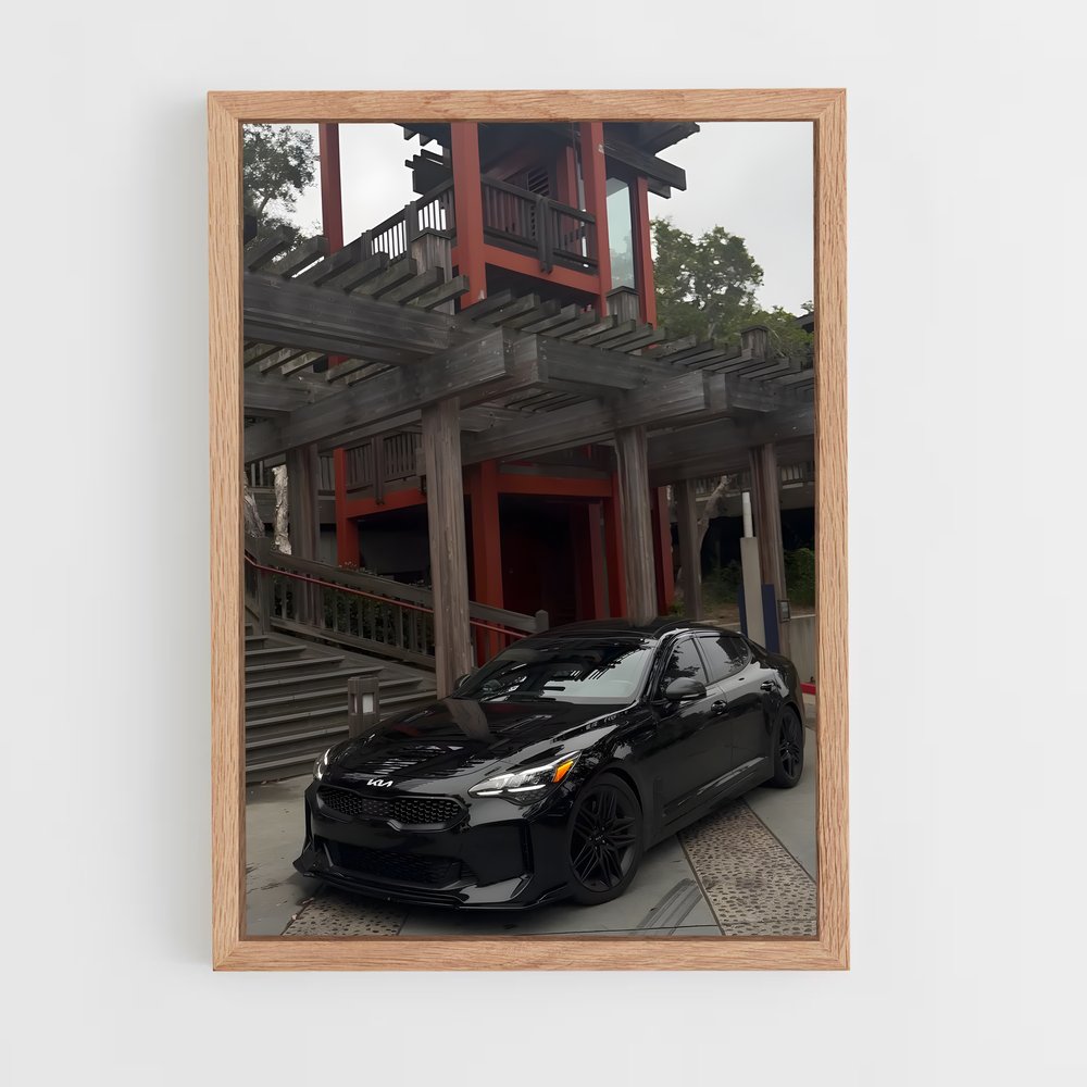 ap-stinger gt-2 cadre Bois clair
