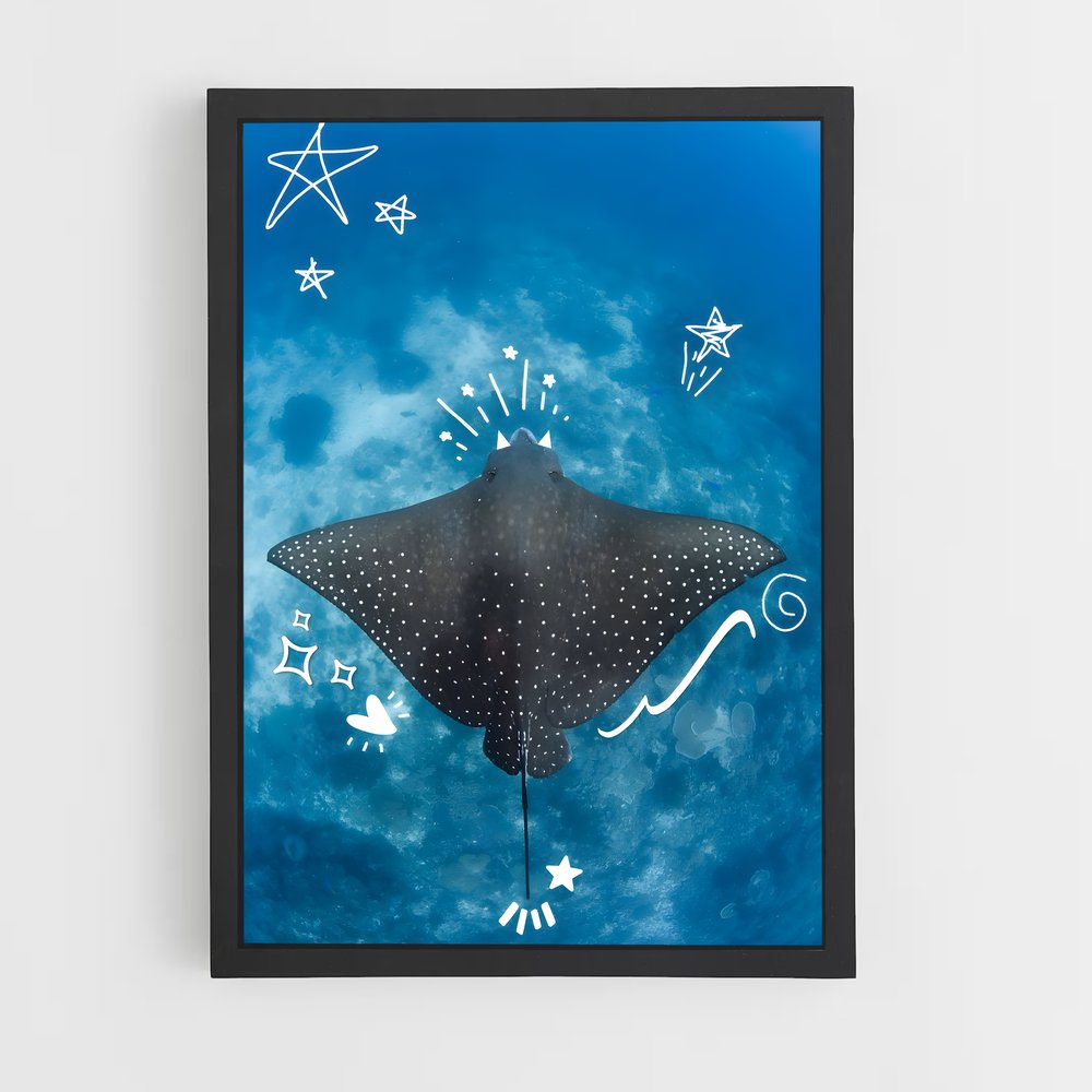 ap-stingray-2 cadre Noir