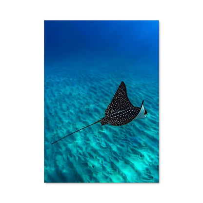 Poster Stingray 84429