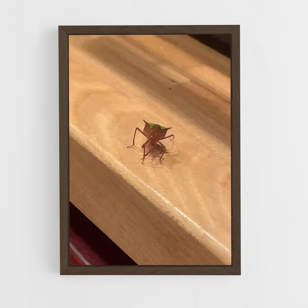 ap-stink bug-1 cadre Bois foncé