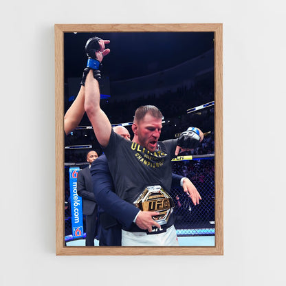 ap-stipe miocic-1 cadre Bois clair