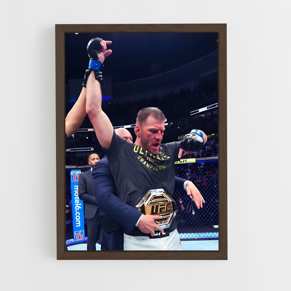 ap-stipe miocic-1 cadre Bois foncé
