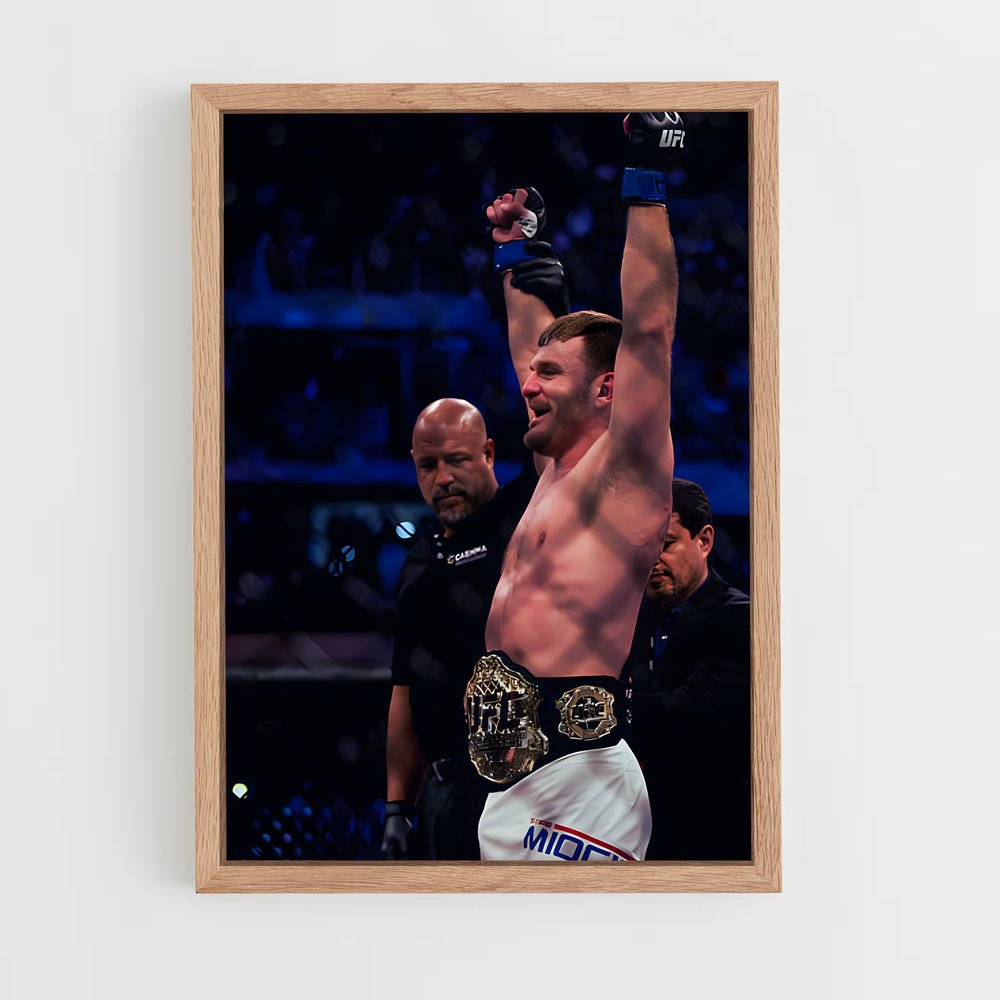 ap-stipe miocic-10 cadre Bois clair