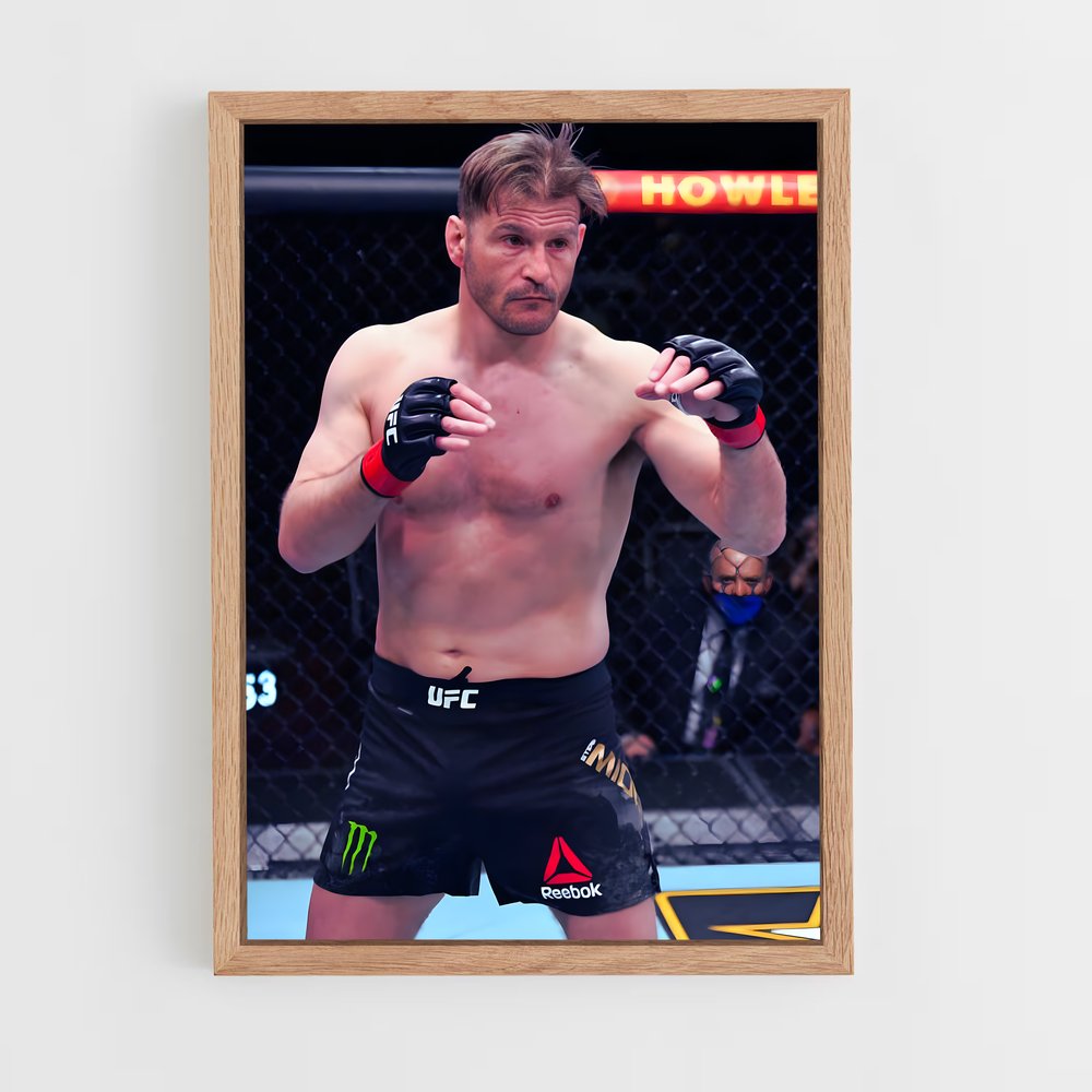 ap-stipe miocic-2 cadre Bois clair