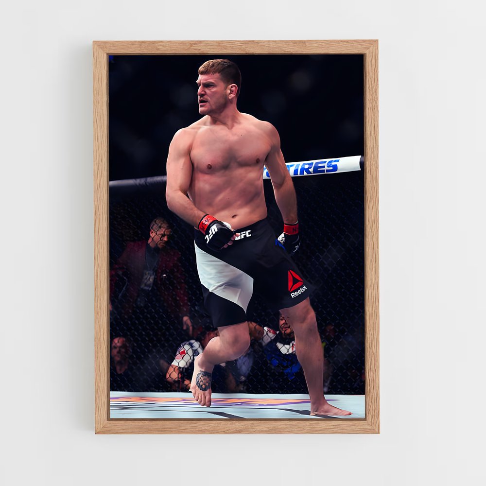 ap-stipe miocic-4 cadre Bois clair