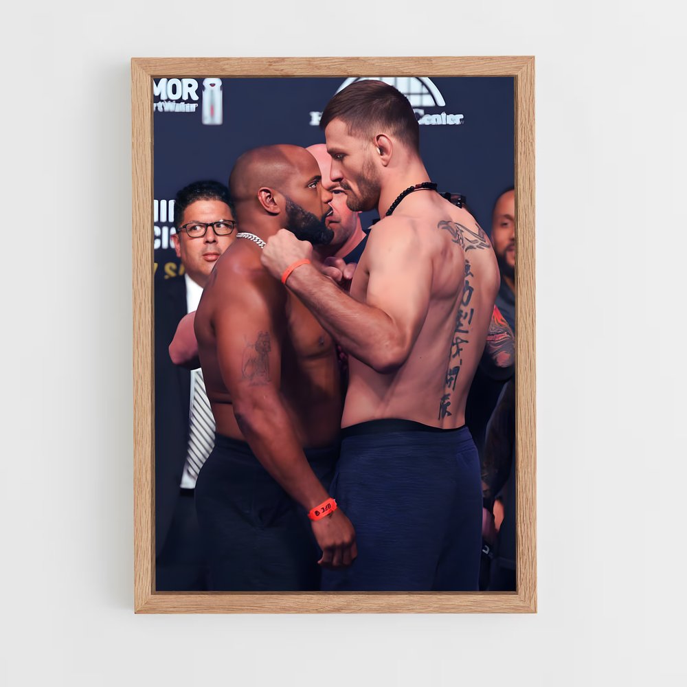 ap-stipe miocic-8 cadre Bois clair