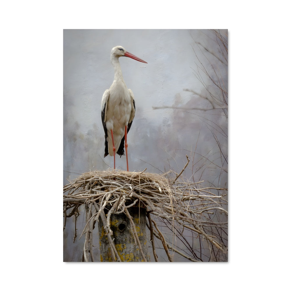 Poster La Cigogne Éveillée