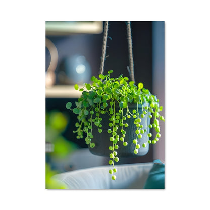 Poster Plantes Suspendues