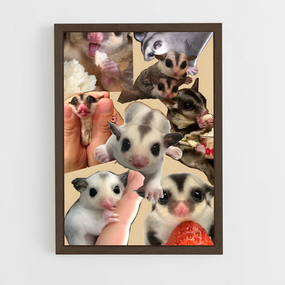 ap-sugar glider-3 cadre Bois foncé