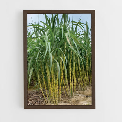 ap-sugarcane-1 cadre Bois foncé