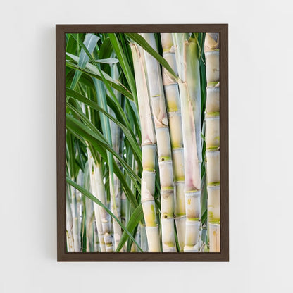 ap-sugarcane-6 cadre Bois foncé
