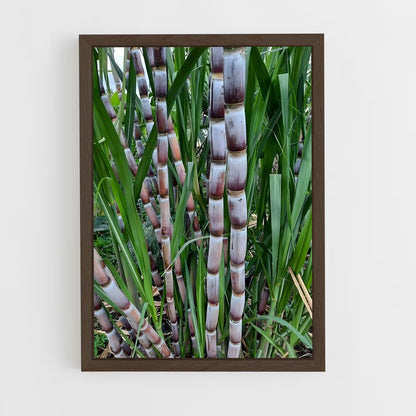 ap-sugarcane-7 cadre Bois foncé