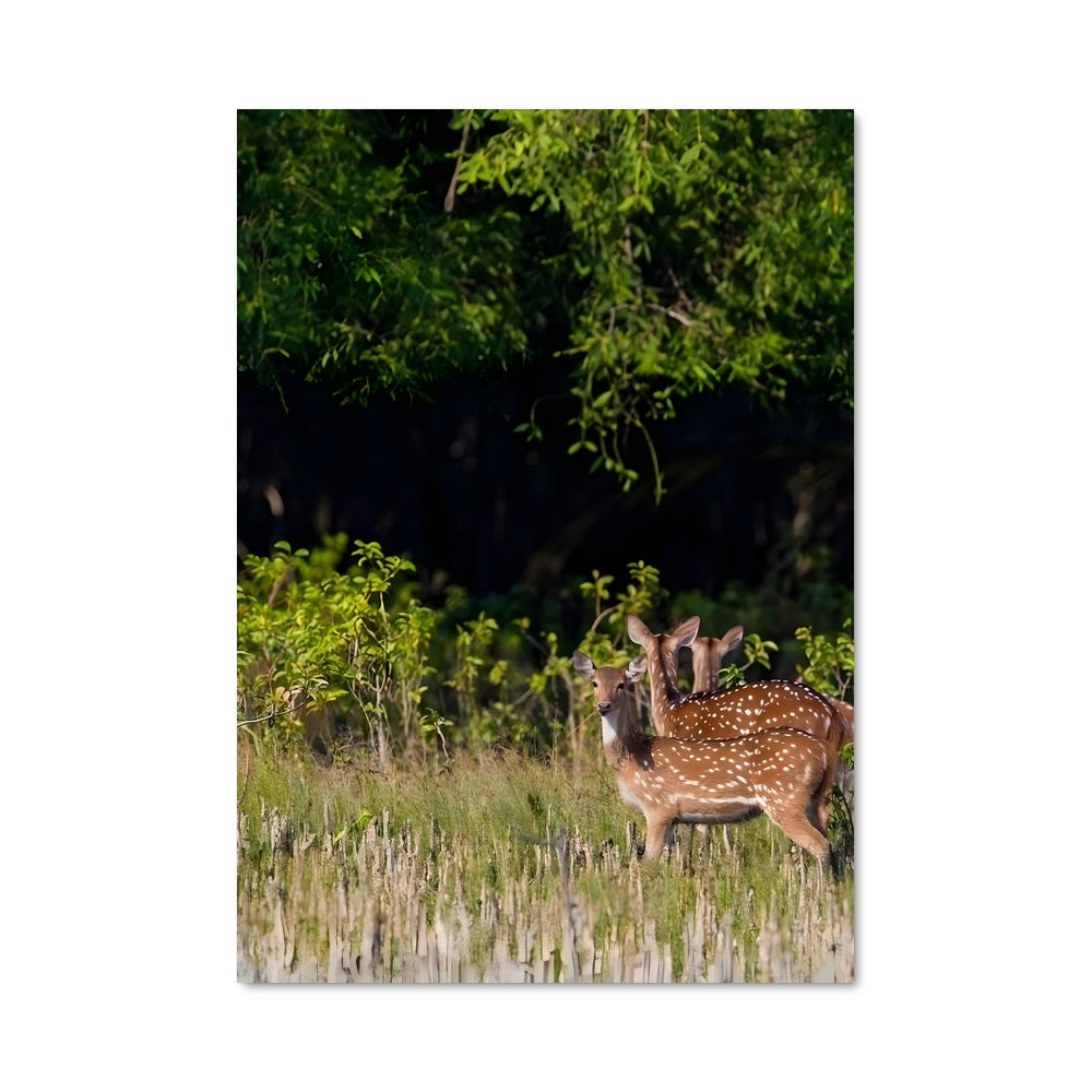 Poster Dans les Graminées