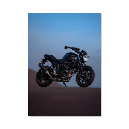 Poster L'Échappée Marine