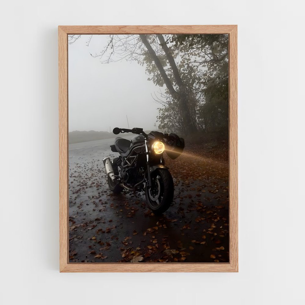 ap-sv650-2 cadre Bois clair