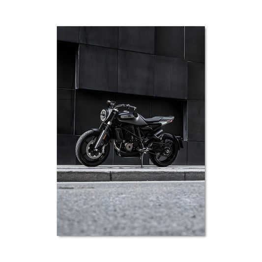 Poster L'Esprit de la Svartpilen