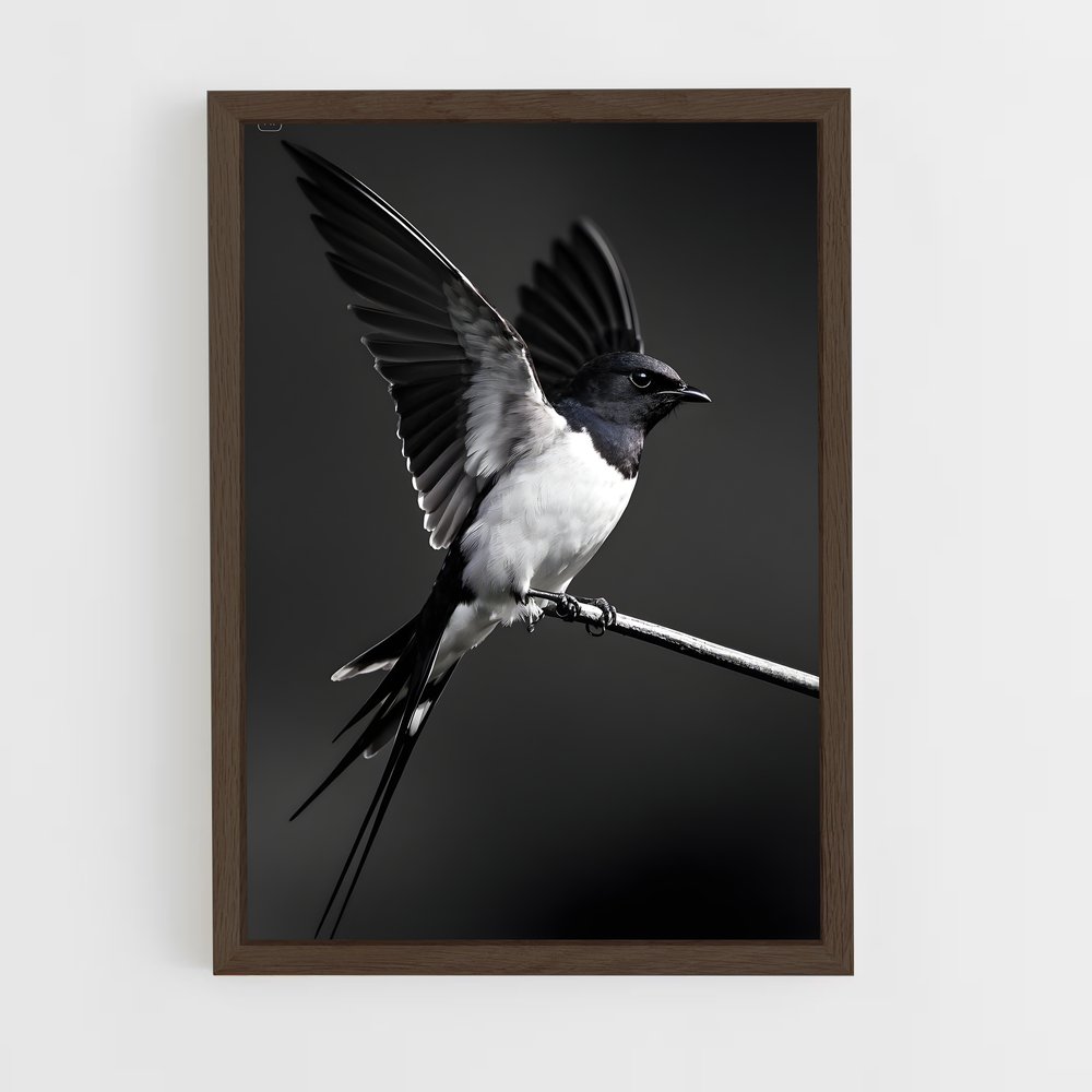 ap-swallow-11 cadre Bois foncé