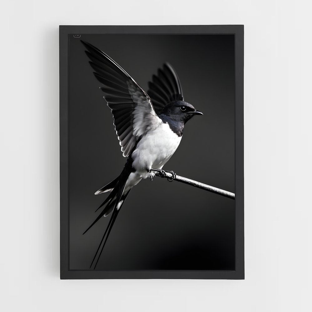 ap-swallow-11 cadre Noir