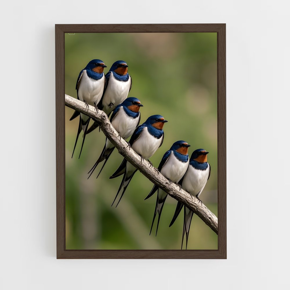 ap-swallow-12 cadre Bois foncé