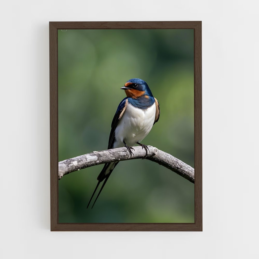 ap-swallow-14 cadre Bois foncé