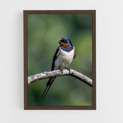 ap-swallow-14 cadre Bois foncé