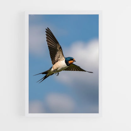 ap-swallow-15 cadre Blanc