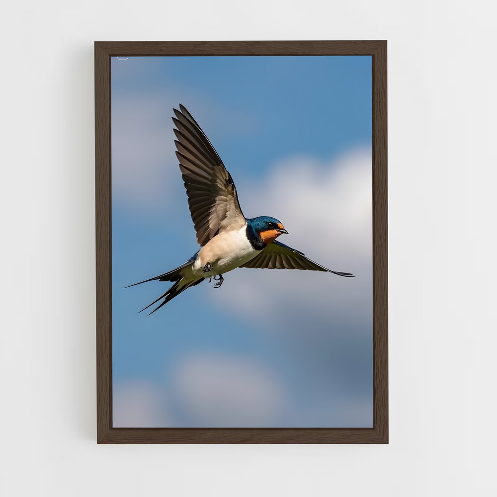 ap-swallow-15 cadre Bois foncé