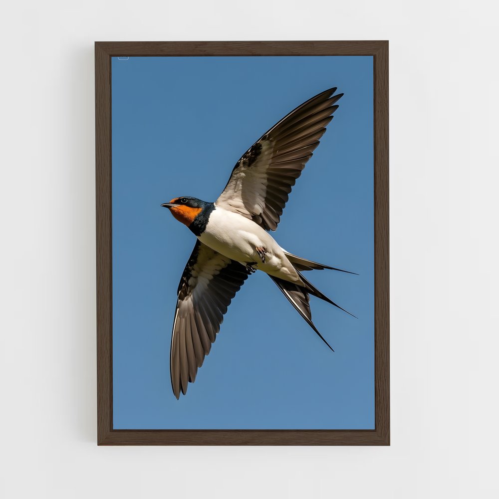 ap-swallow-16 cadre Bois foncé