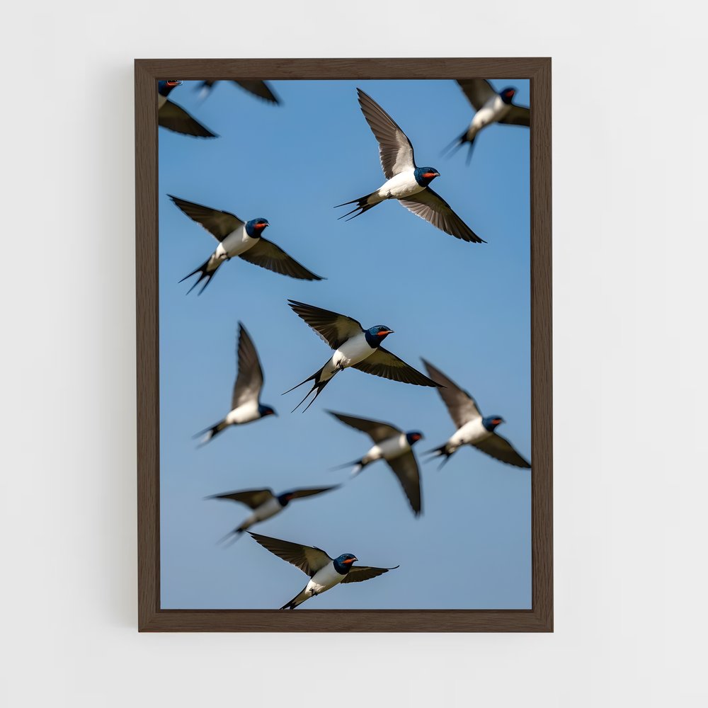 ap-swallow-17 cadre Bois foncé